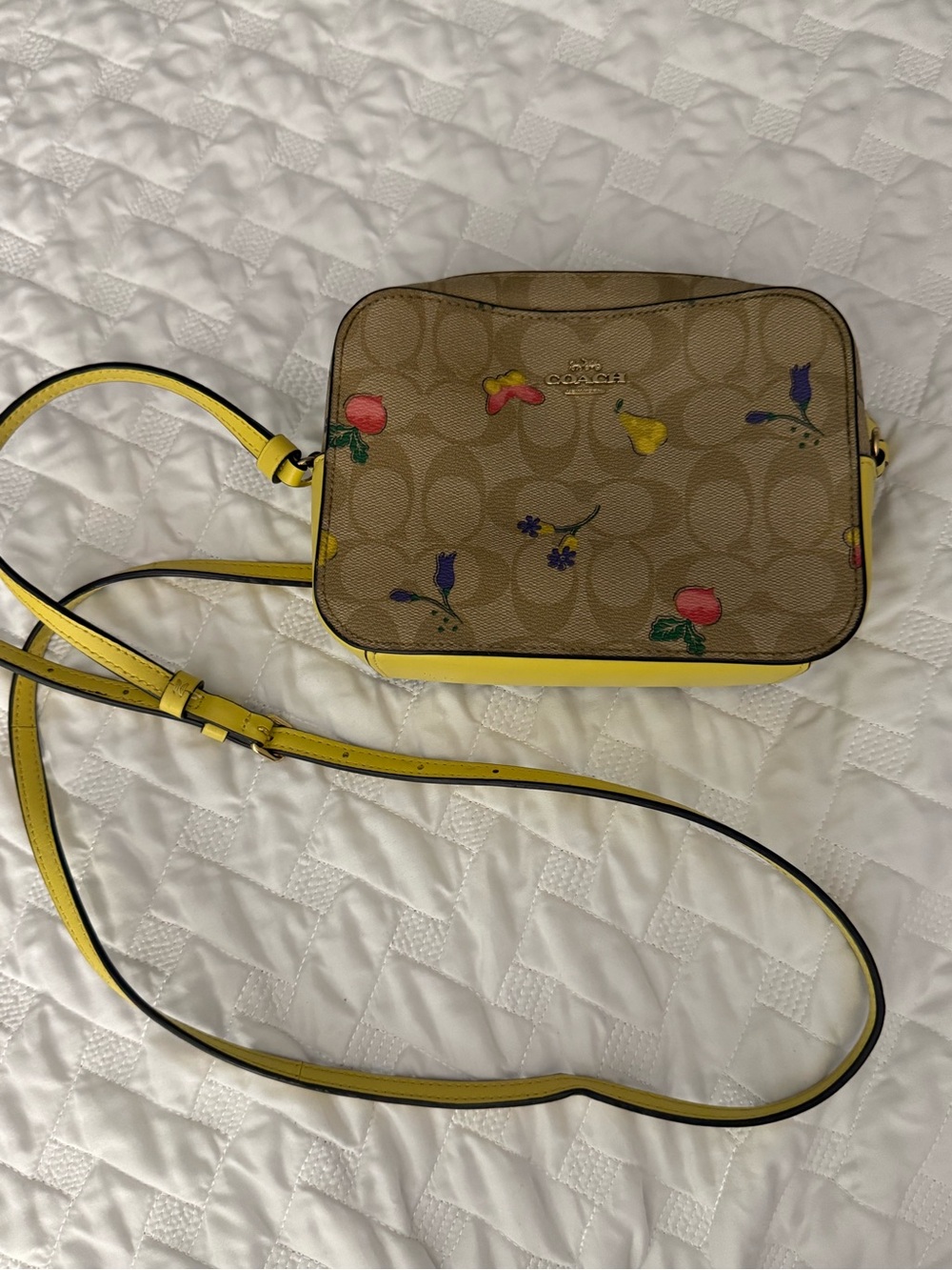 Coach Signature Mini Camera Bag with Veggie Print